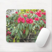 Rode Rhododendrons Muismat (Met muis)
