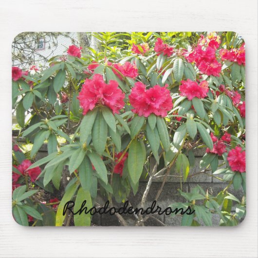 Rode Rhododendrons Muismat (Voorkant)