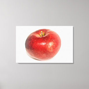 Rode rijpe appel geïllustreerde kunst canvas afdruk