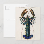Rode rivierkreeft (Palemon Ornatum) Briefkaart (Voorkant / Achterkant)