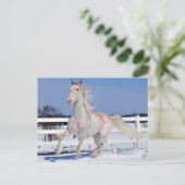 Rode Roan in sneeuw Briefkaart (Staand voorkant)