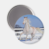 Rode Roan in sneeuw Magneet (Voorkant / Achterkant)