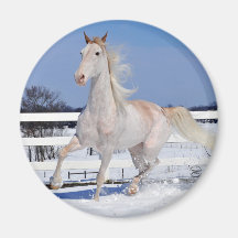 Rode Roan in sneeuw