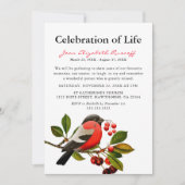 Rode Robin | Lente Vogel Levensviering Kaart (Voorkant)