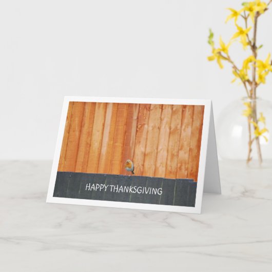 Rode Robin Op Afrastering Kaart (Gele Bloem)