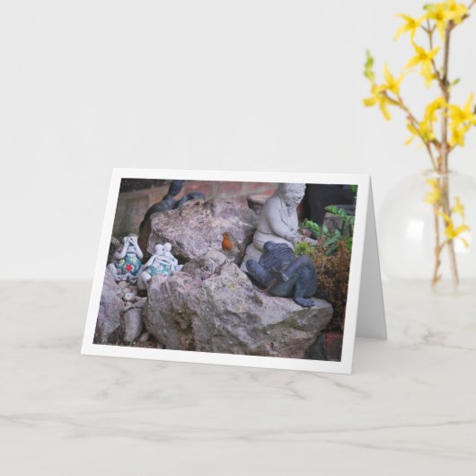 Rode Robin Op Rotsachtige Ondergrond Kaart (Gele Bloem)