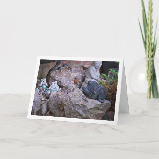 Rode Robin Op Rotsachtige Ondergrond Kaart (Voorkant)