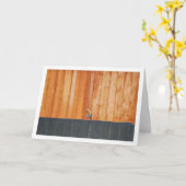 Rode Robin Op Schutting Kaart (Gele Bloem)