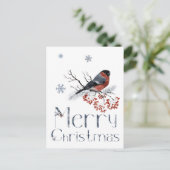 Rode Robin Vogel Zit Op Een Lijstertak Briefkaart (Staand voorkant)