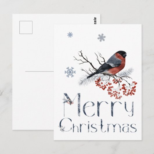 Rode Robin Vogel Zit Op Een Lijstertak Briefkaart (Voorkant / Achterkant)