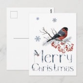 Rode Robin Zit Op Een Lijstertak Briefkaart (Voorkant / Achterkant)