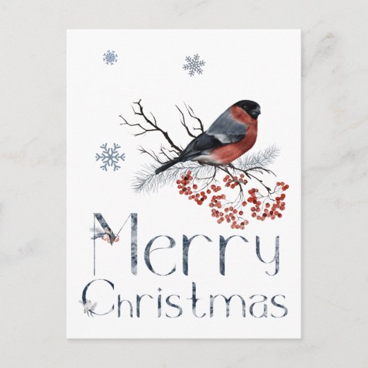 Rode Robin Zit Op Een Lijstertak Briefkaart (Voorkant)