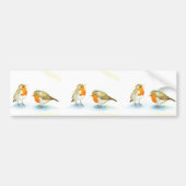 Rode Robins in de winter Bumpersticker (Voorkant)