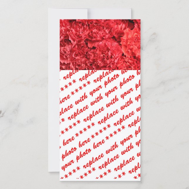 Rode Rode Anjers (Voorkant)