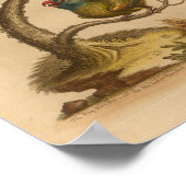  rode rode rode projects afdrukken poster (Hoek)