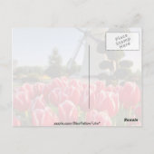 Rode rode tulpen en windmollen briefkaart (Achterkant)