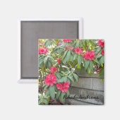 Rode Rododendrons Magneet (Voorkant / Achterkant)
