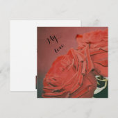 Rode rog zoals fluwelen (Voorkant / Achterkant)