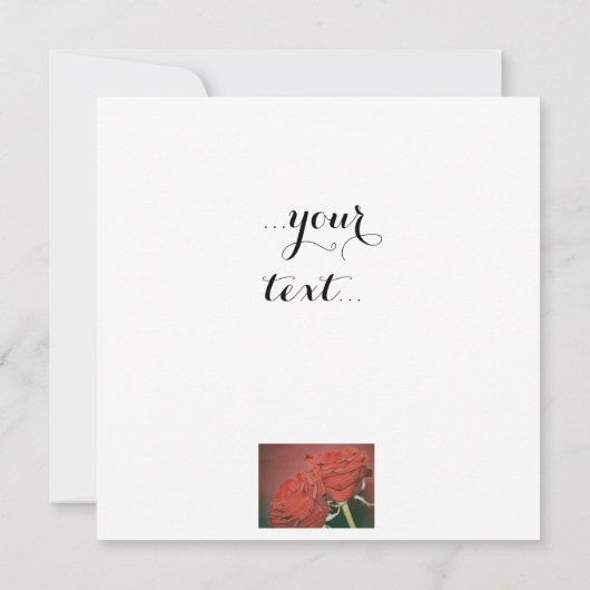 Rode rog zoals fluwelen (Achterkant)