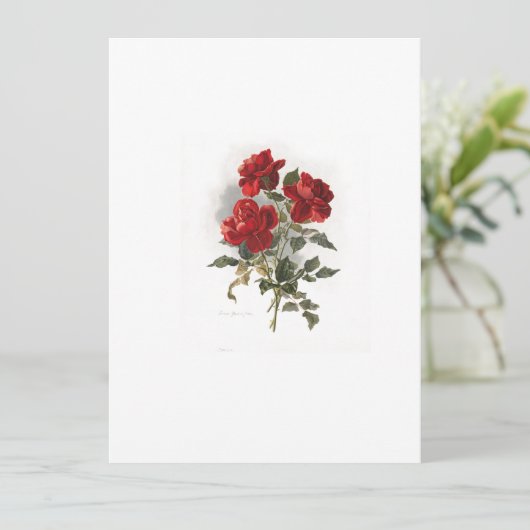 Rode romantische Rozen Kaart (Staand voorkant)