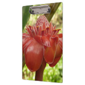 Rode rommel met tropische flografie klembord (Links)