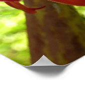 Rode rommel met tropische flografie poster (Hoek)