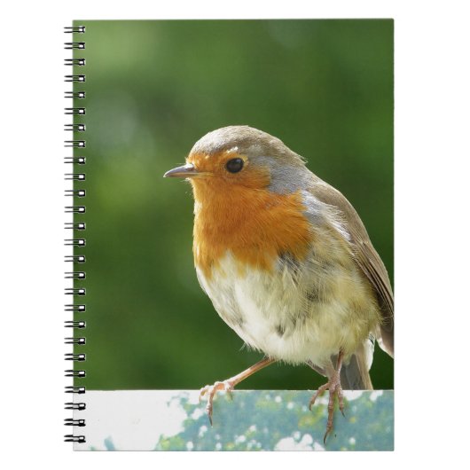 Rode Roodborst Notitieboek (Voorkant)