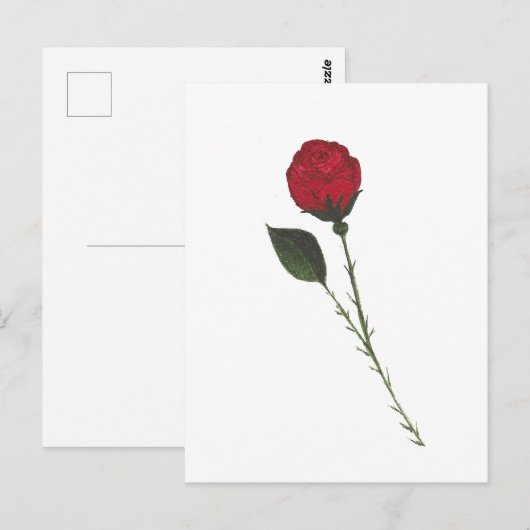 Rode Roos Ansichtkaart Briefkaart (Voorkant / Achterkant)