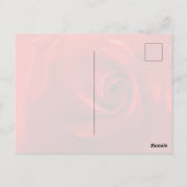 Rode Roos Ansichtkaart Briefkaart (Achterkant)