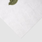 Rode Roos Bij Serie Ontwerp 71 Tissuepapier (Detail)