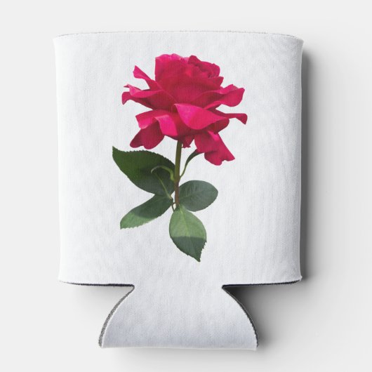 Rode roos blikjeskoeler (Achterkant)