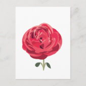 Rode Roos Bloem Bloemige Rode Roos Briefkaart (Voorkant)