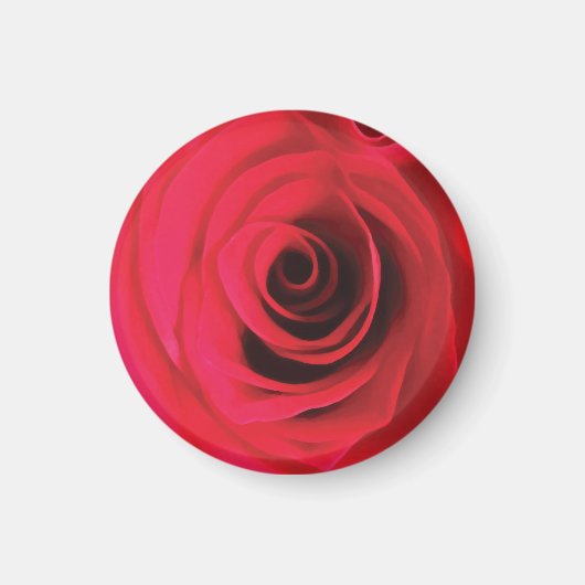 Rode roos bloem detail magneet (Voorkant)