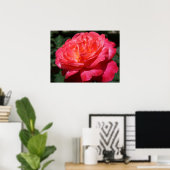 Rode Roos Bloem Fijne Kunst Prints Rozen Tuin (Thuiskantoor)