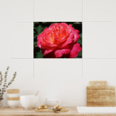 Rode Roos Bloem Fijne Kunst Prints Rozen Tuin (Keuken)