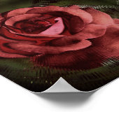 Rode Roos Bloem in Bloei Abstract Vintage Poster (Hoek)