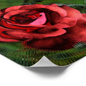 Rode Roos Bloem in Bloei Abstracte Kunst Poster (Hoek)