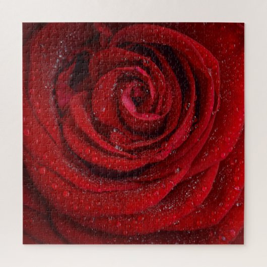Rode Roos Bloem Legpuzzel (Verticaal)