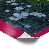 Rode  Roos Bloementuin bloementuin Rozen Poster (Hoek)