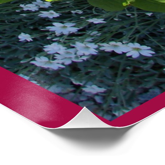 Rode  Roos Bloementuin bloementuin Rozen Poster (Hoek)