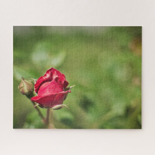 Rode roos bloesem romantische tuin legpuzzel (Horizontaal)