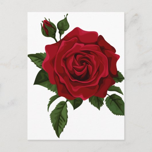 Rode roos briefkaart (Voorkant)