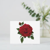 Rode roos briefkaart (Staand voorkant)