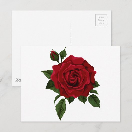 Rode roos briefkaart (Voorkant / Achterkant)