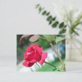 Rode roos briefkaart (Staand voorkant)