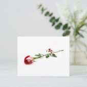 Rode roos briefkaart (Staand voorkant)