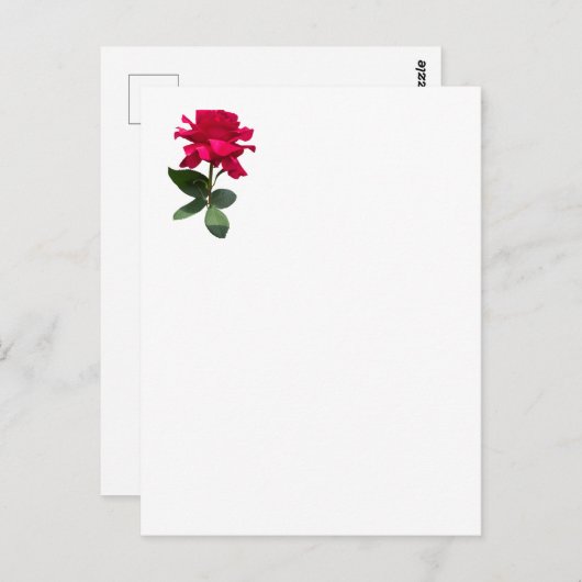 Rode roos briefkaart (Voorkant / Achterkant)