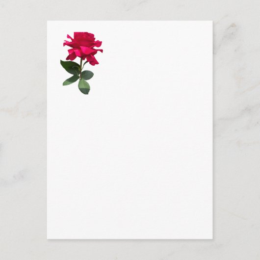 Rode roos briefkaart (Voorkant)