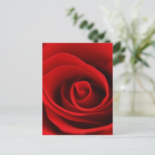 rode roos briefkaart (Staand voorkant)