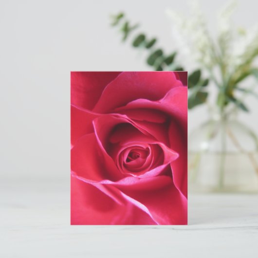 Rode roos briefkaart (Staand voorkant)